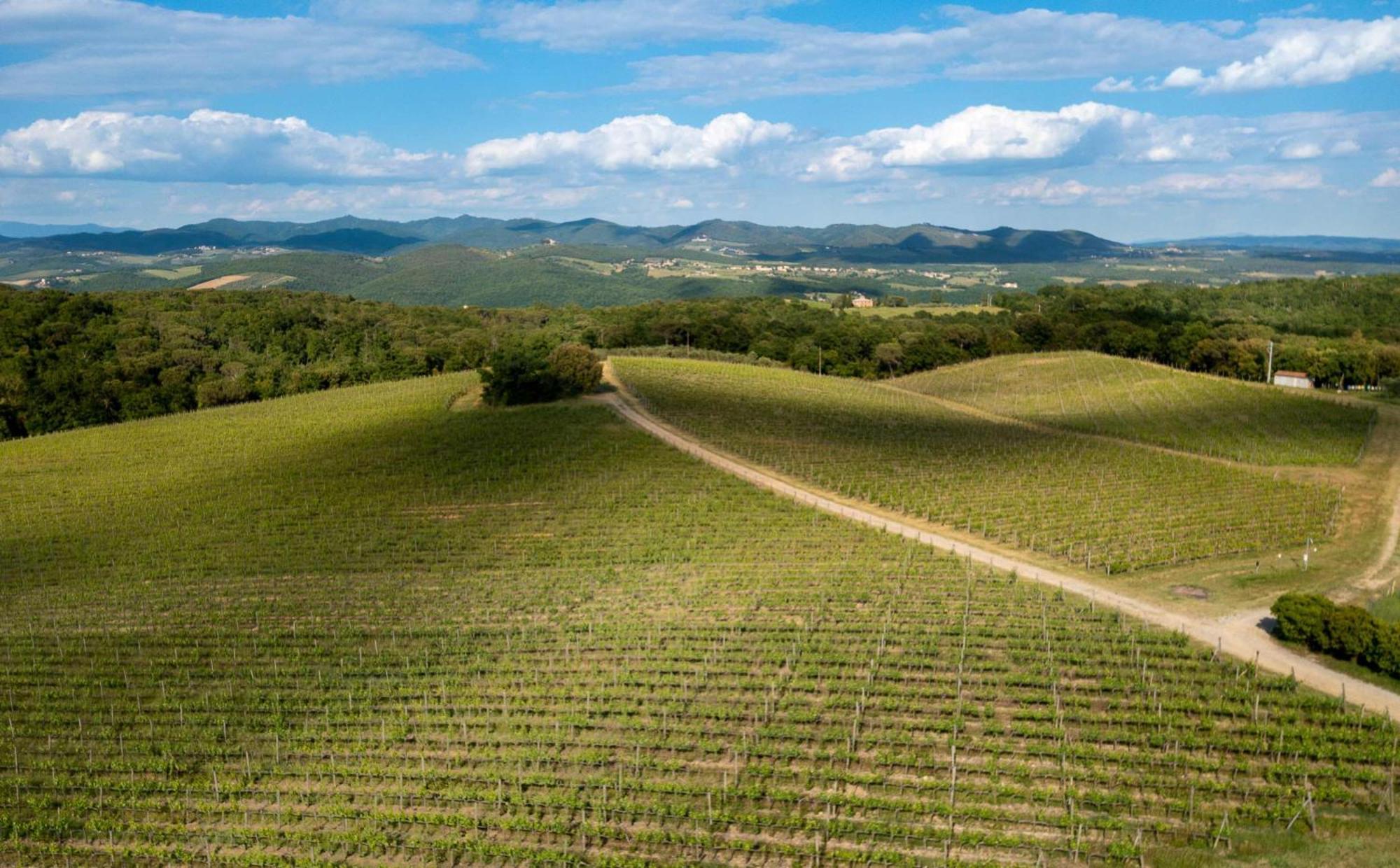 Borgo Scopeto Wine & Country Relais Ξενοδοχείο Vagliagli Εξωτερικό φωτογραφία